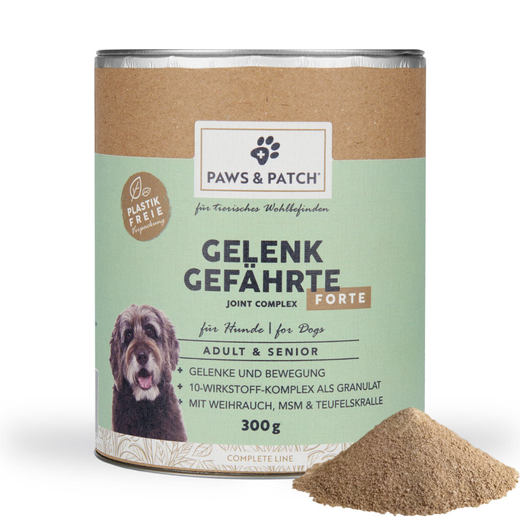 GELENK GEFÄHRTE für Hunde - Adult & Senior