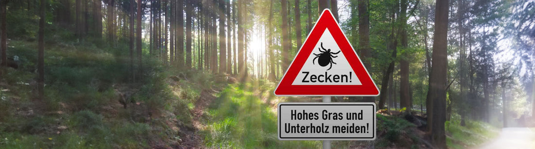 Zecken