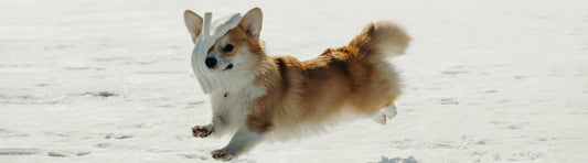 Fit im Winter