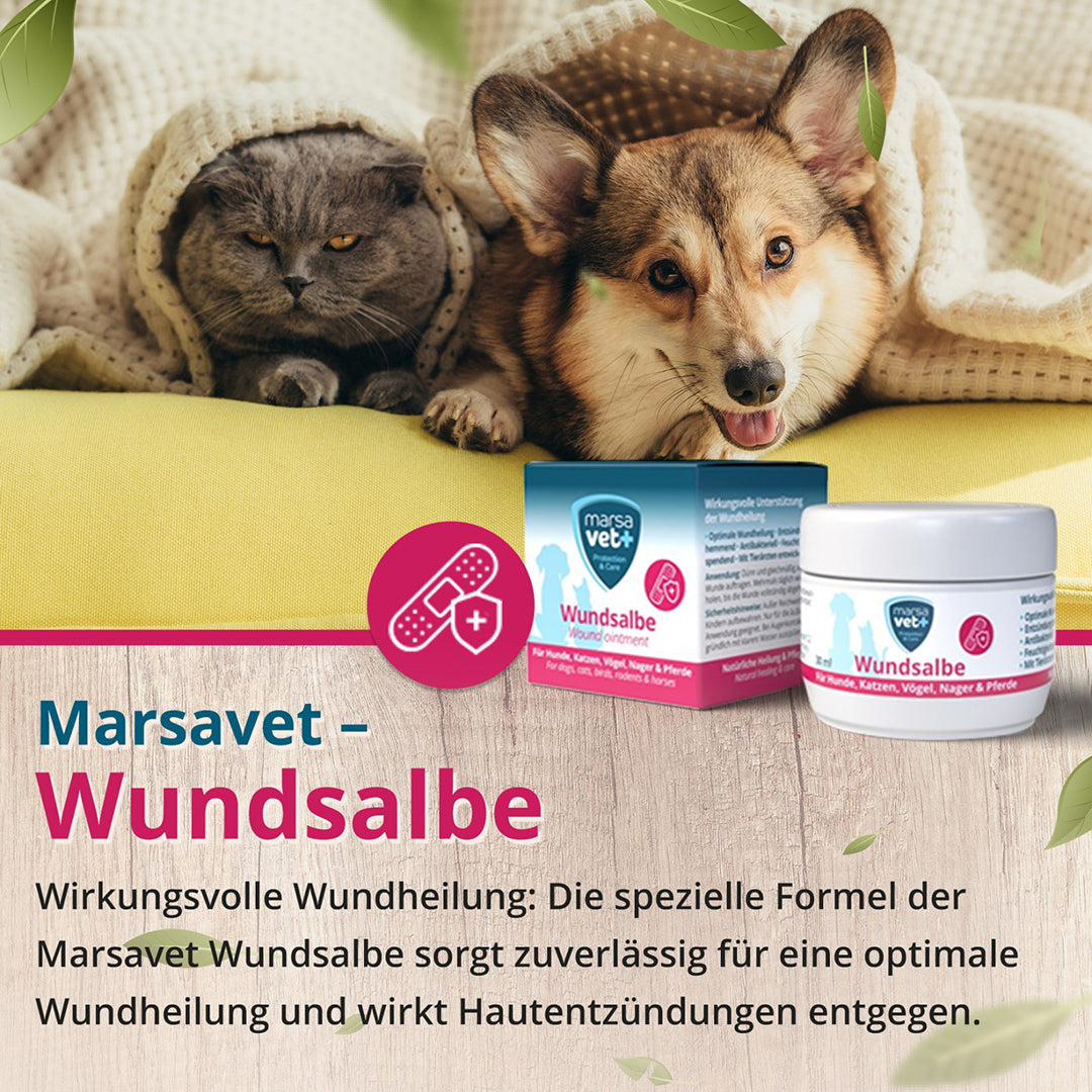 Marsavet Wundsalbe für Hunde Katzen Vögel Nager Pferde - 30ml