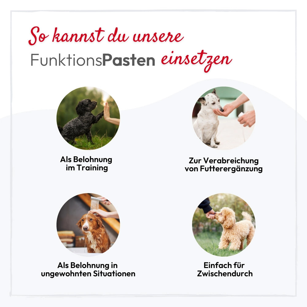 PHA BeruhigungsPaste - für Hunde