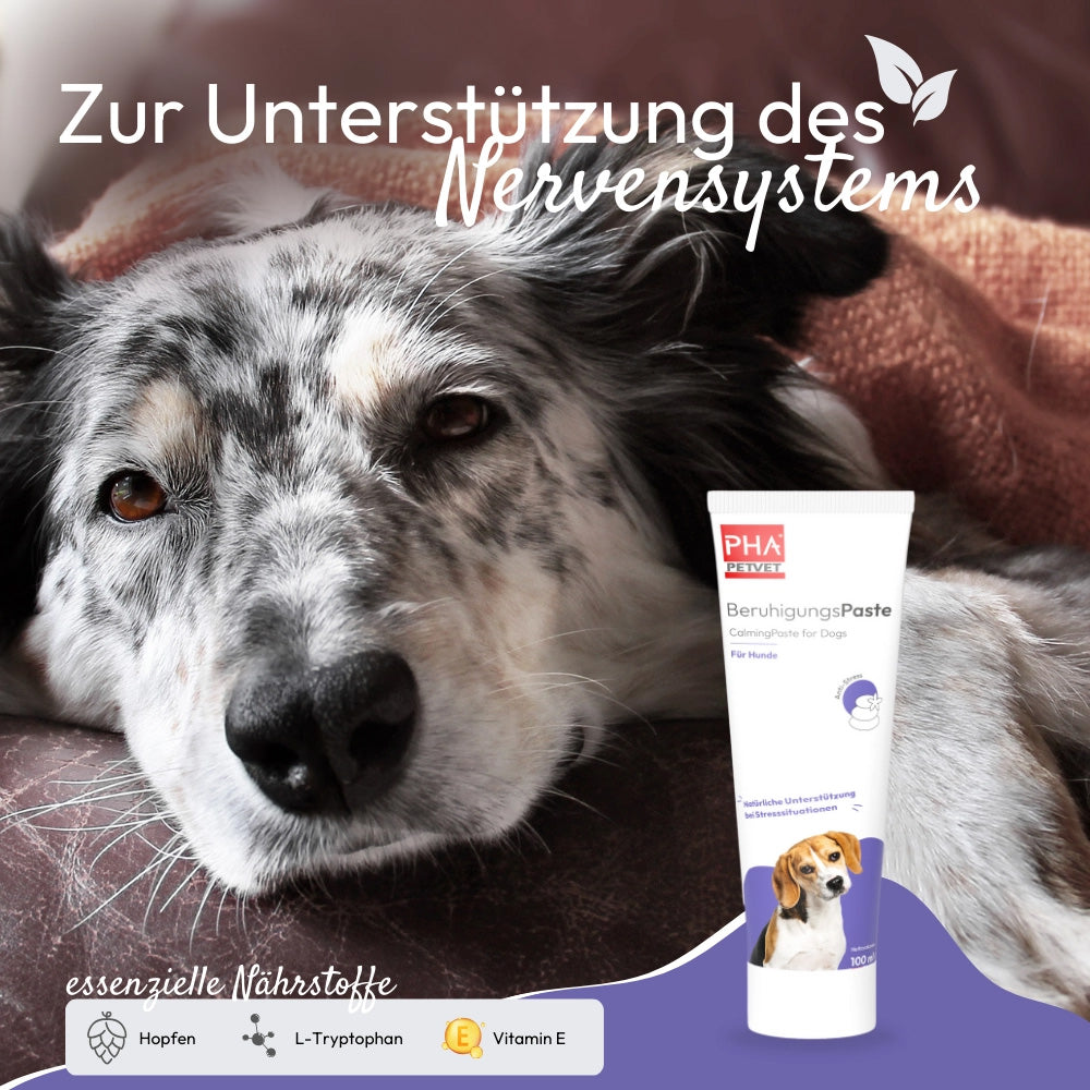 PHA BeruhigungsPaste - für Hunde