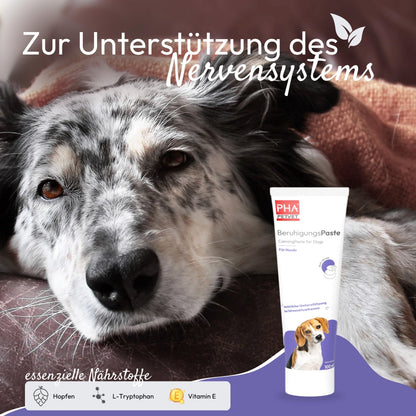PHA BeruhigungsPaste - für Hunde