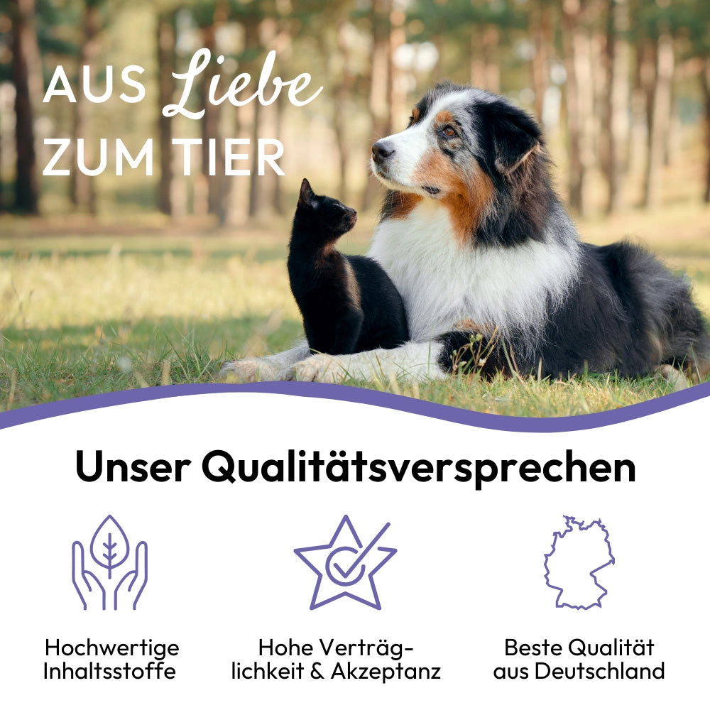 PHA BeruhigungsPaste - für Hunde