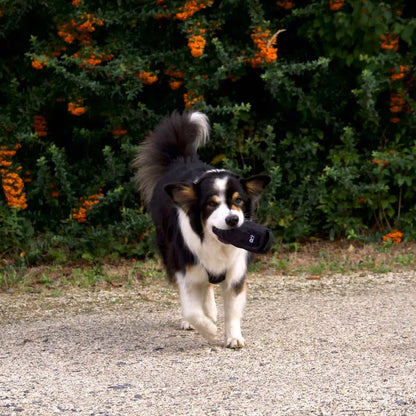 Redoggo Futterdummy Schwarz