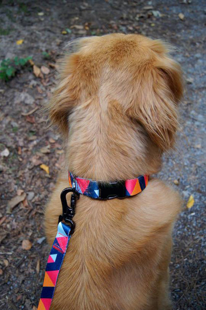 Hundehalsband Everking mehrfarbig rot