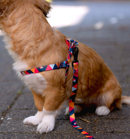 Hundegeschirr Everking mehrfarbig rot