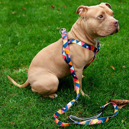 Hundegeschirr Everking mehrfarbig rot